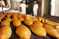 Fresh baked bread